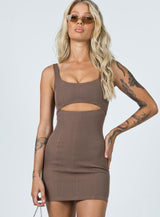 Hudson Mini Dress Brown