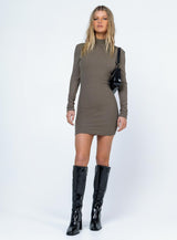 Auriela Long Sleeve Mini Dress Brown