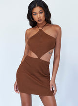 Honey Mini Dress Brown