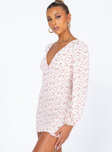 Sawyer Long Sleeve Mini Dress Multi