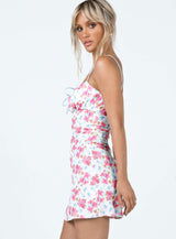 Anastazia Mini Dress Multi