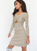 Rachel Mini Dress Brown