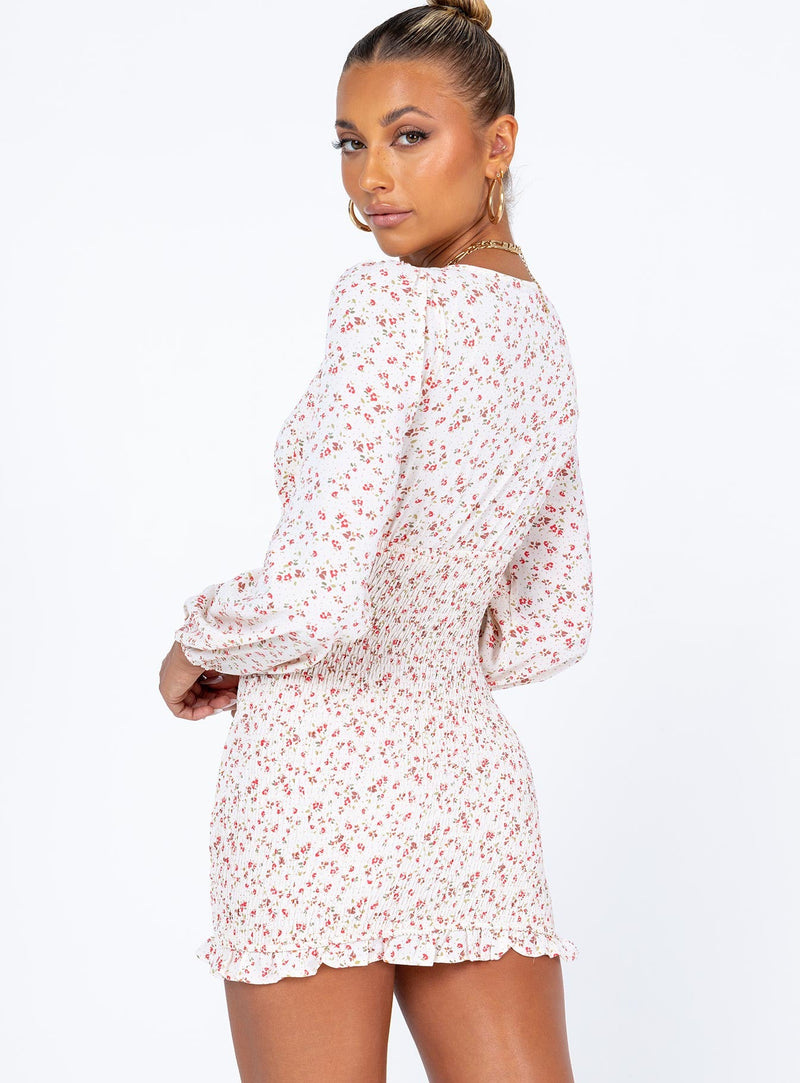 Sawyer Long Sleeve Mini Dress Multi