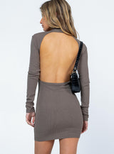 Auriela Long Sleeve Mini Dress Brown