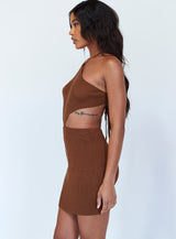 Honey Mini Dress Brown