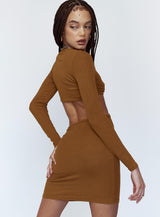 Sabella Mini Dress Brown