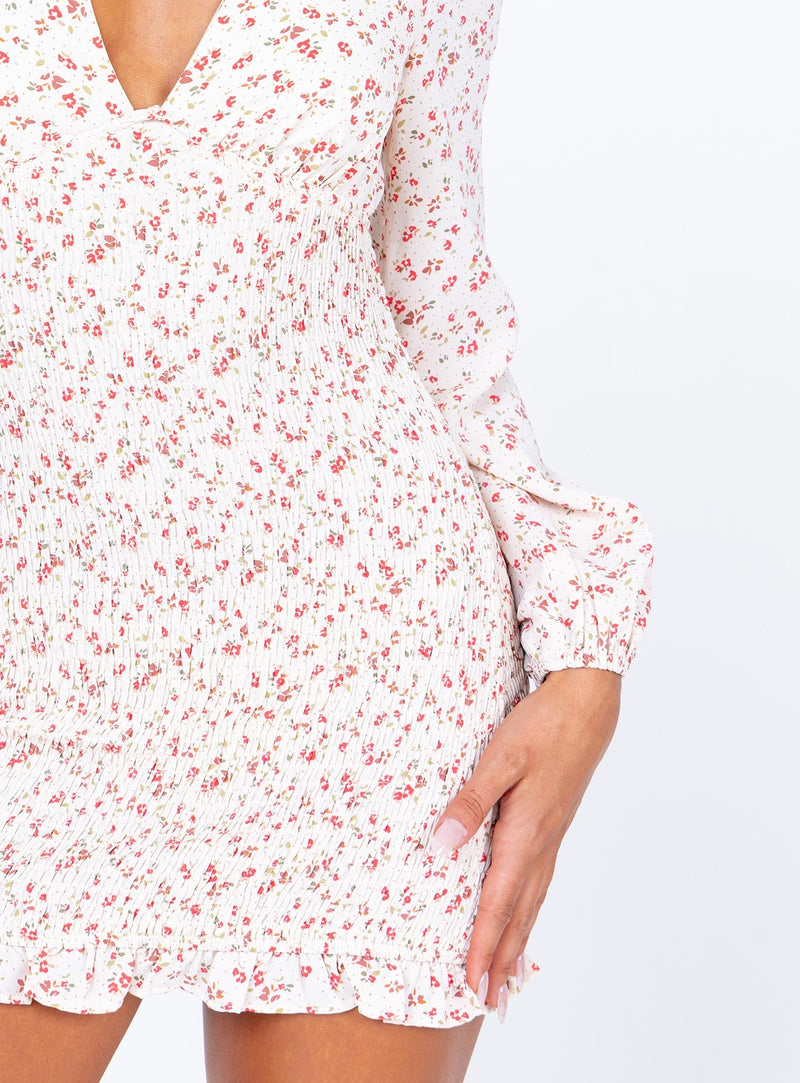 Sawyer Long Sleeve Mini Dress Multi