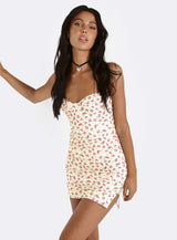 Belladonna Mini Dress Pink Multi / Floral